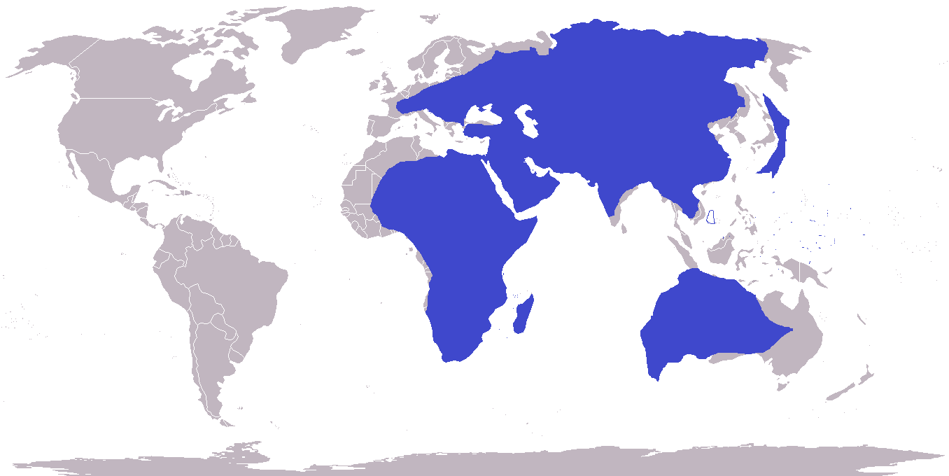 Image - No America World Map Superimposed over OTL World ... Image - No America World Map Superimposed over OTL World ...