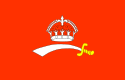 Baroda bandera