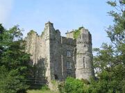 Newport Castle