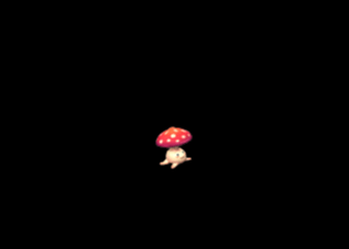 Pet2