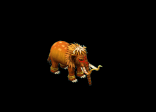 Pet19