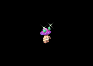 Pet7