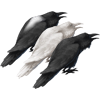 Cawingharvestcrowpack