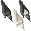 Thievingharvestcrowpack