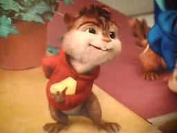 Alvin2X2