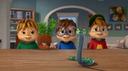 The Chipmunks and their Snake