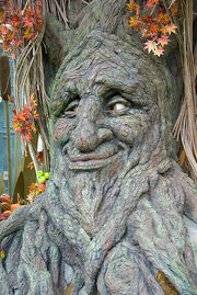 Talking Tree at Bellagio