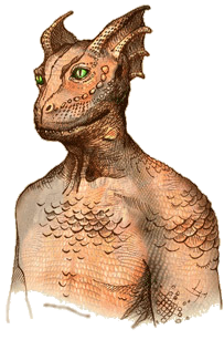 Lore-race-Argonian