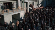 Negan 17