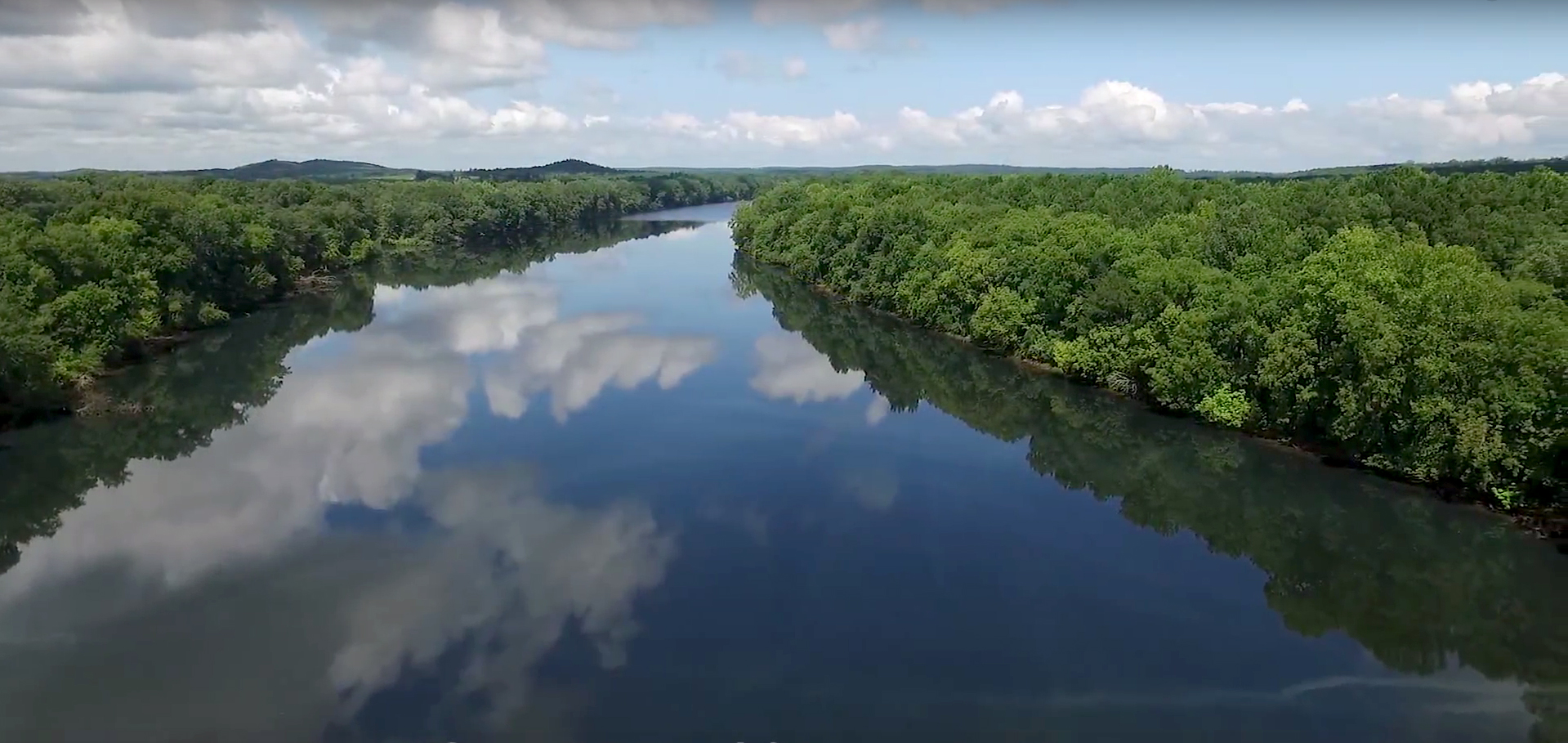 Savannah River | American Bridge Wiki | Fandom