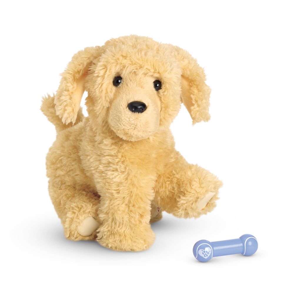 Apricot Poodle Puppy American Wiki Fandom Ed By Wikia Apricot Poodle Puppy