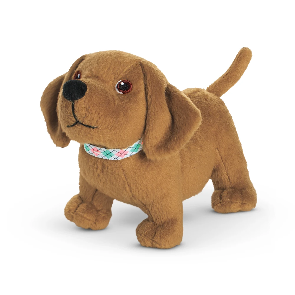 Scooter (dog) American Girl Wiki FANDOM powered by Wikia