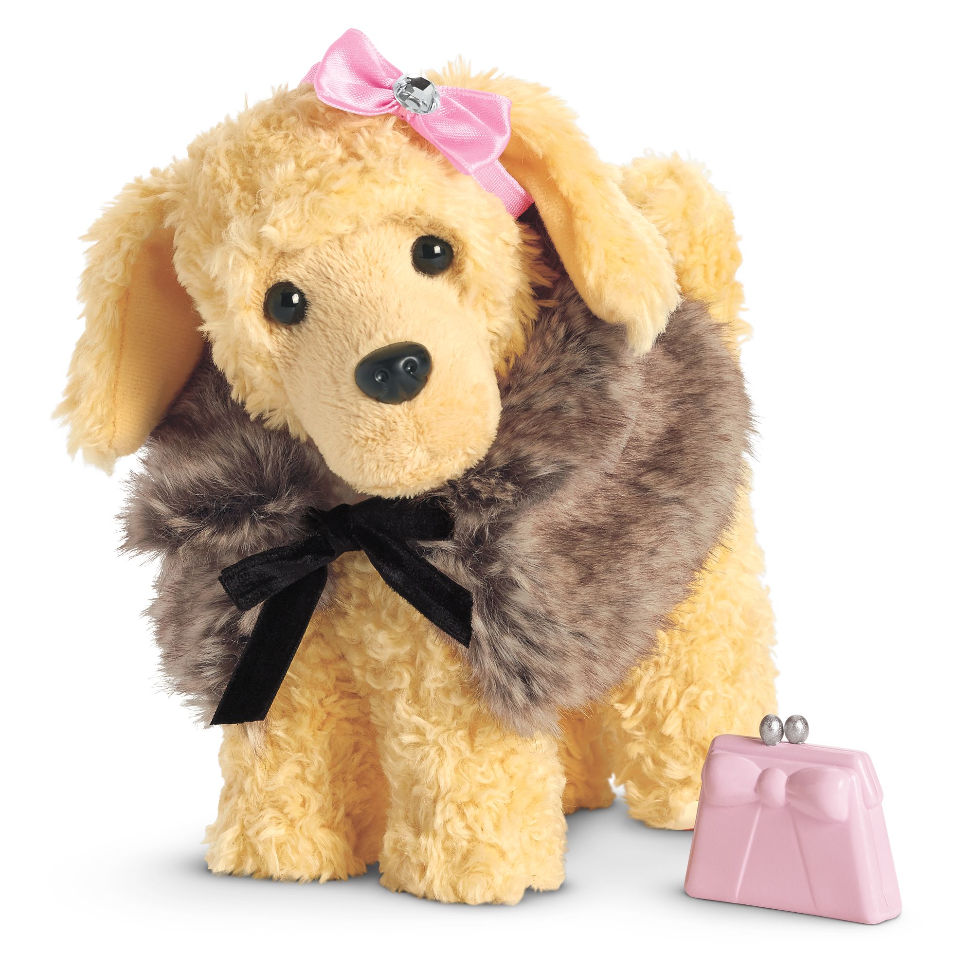 Fancy Pet Outfit American Wiki Fandom Ed By Wikia The Fancy Pet Outfit On Apricot Poodle Puppy