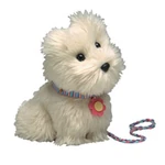 coco american girl dog