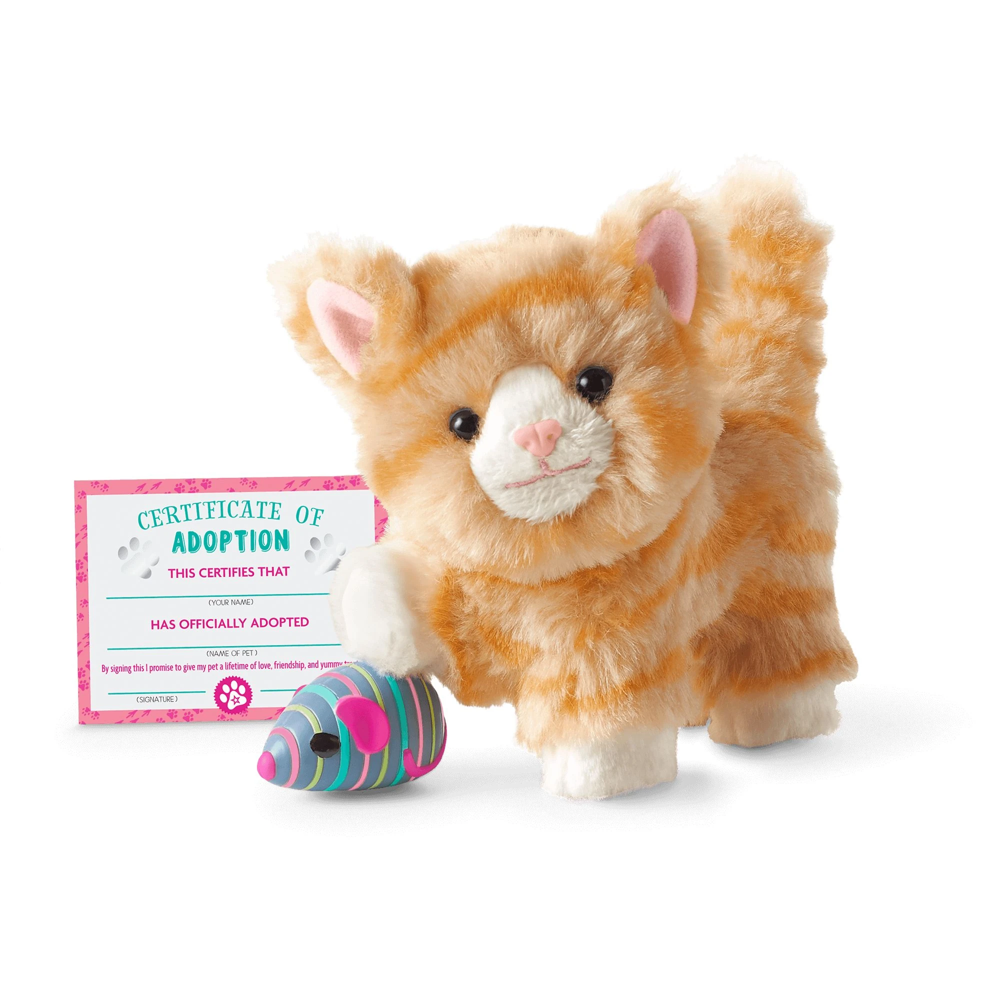 Orange Tabby Cat American Girl Wiki Fandom