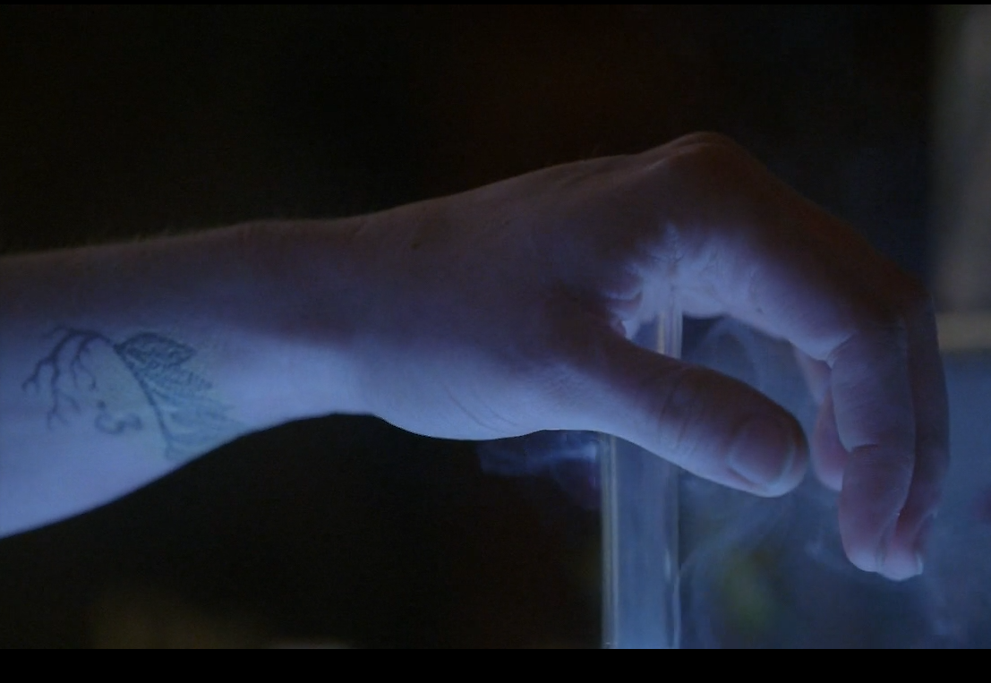 Cordelia S Tattoo Fandom