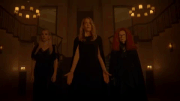 8x03 Vitalum Vitalis