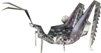 Grasshopper Tea