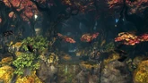 Vale of Tears