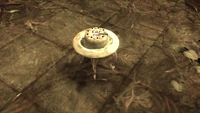 Eat Me cake