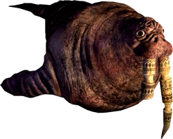 Walrus | Alice Wiki | FANDOM powered by Wikia