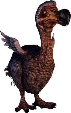 Dodo | Alice Wiki | FANDOM powered by Wikia