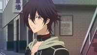 Shin Blushes