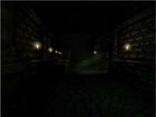 Cellar Archives2
