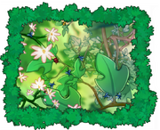Insect rush insetos