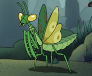Large Mantis-0