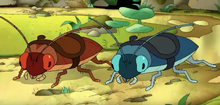 Roaches