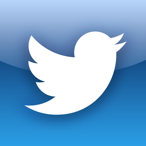 File:Twitter icon.png