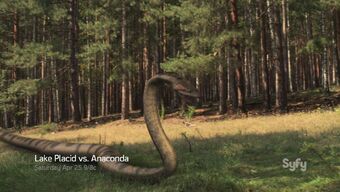 Giant Anaconda Anaconda Lake Placid Wikia Fandom