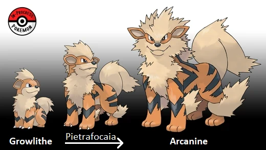 A Che Livello Si Evolve Growlithe