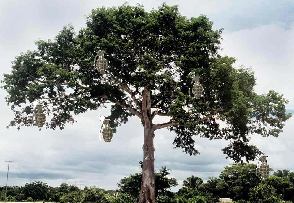 Árboles de Granadas AC Wiki FANDOM powered by Wikia