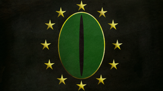 IE Flag
