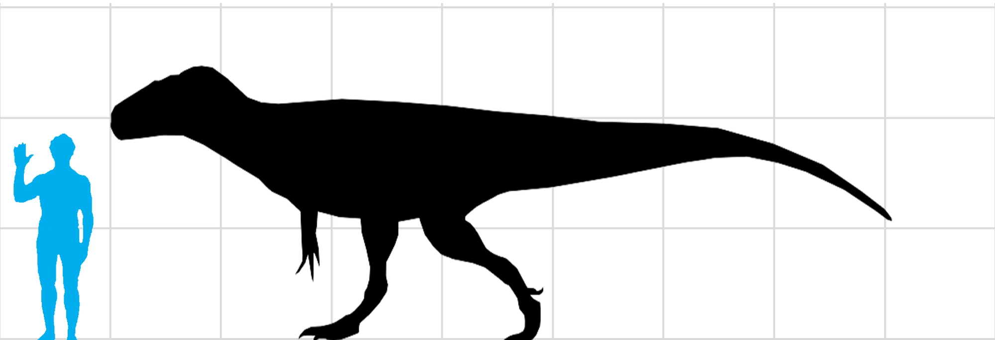 Megalosaurus Ancient Animals Wiki Fandom