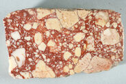 F-breccia corallina5