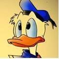 Tor Duck