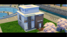 Starter Home GT