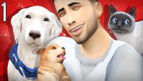 The Sims 4 Cats Dogs Andrew Arcade Wiki Fandom