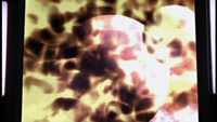 Burrieandymirfromspace