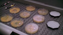 Nanotechcreation