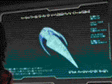 Slipscout ani