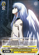 Weiss Schwarz-End of the Confrontation