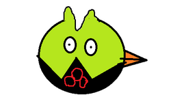 Dbird