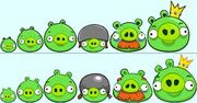 Images