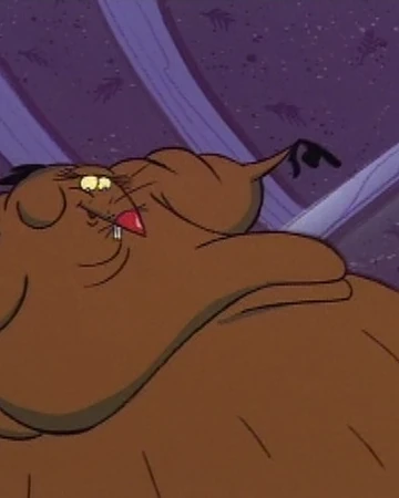 Dag A Nova The Angry Beavers Wiki Fandom Listen to the_poopy_guy_ poops | soundcloud is an audio platform that lets you listen to what you 1 followers. dag a nova the angry beavers wiki