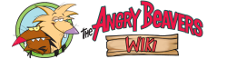 300