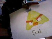 Picture0022